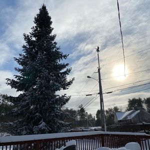 Meet your Posher, Heidi